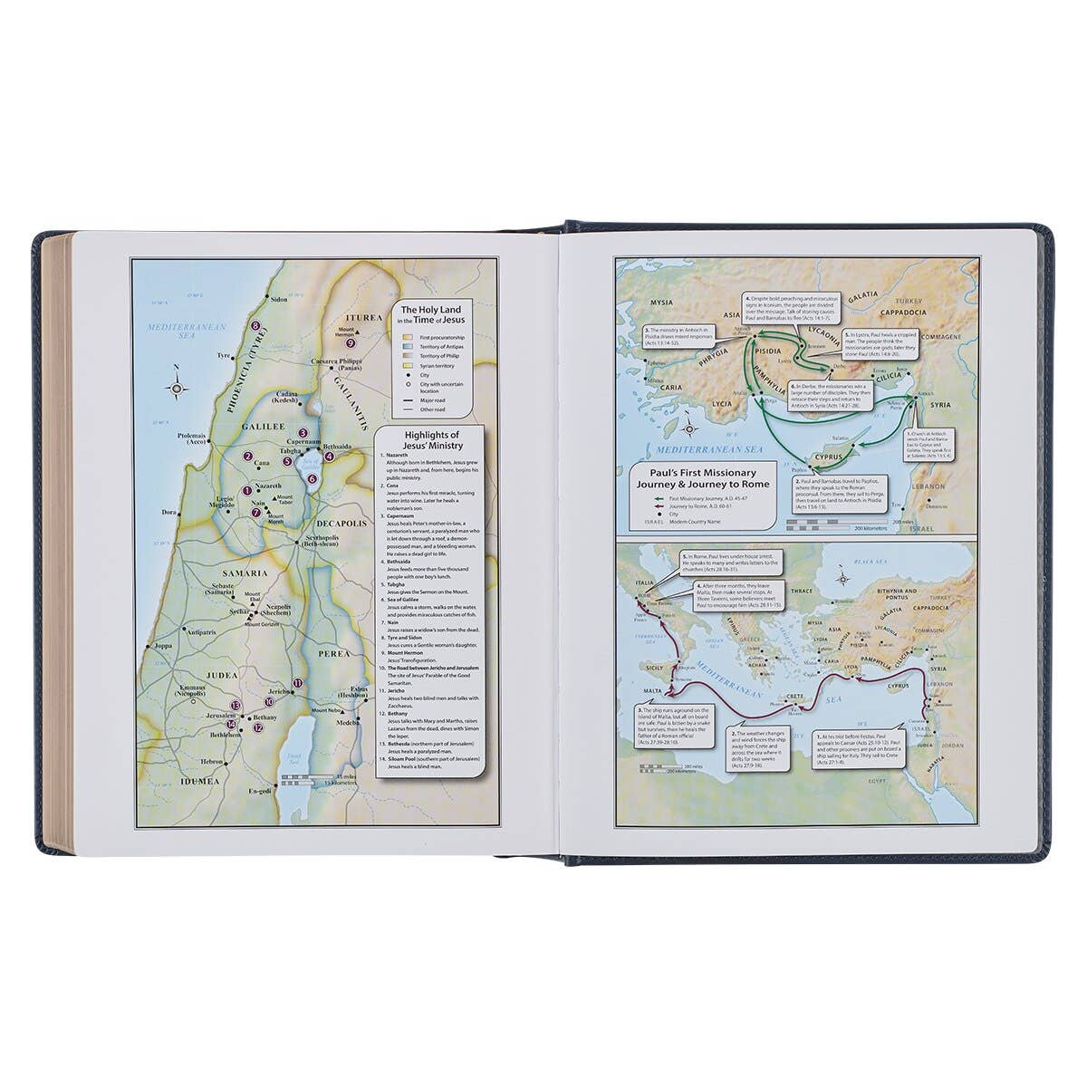 KJV Note-taking Bible LP Faux Leather HC, Navy w/Gold Floral
