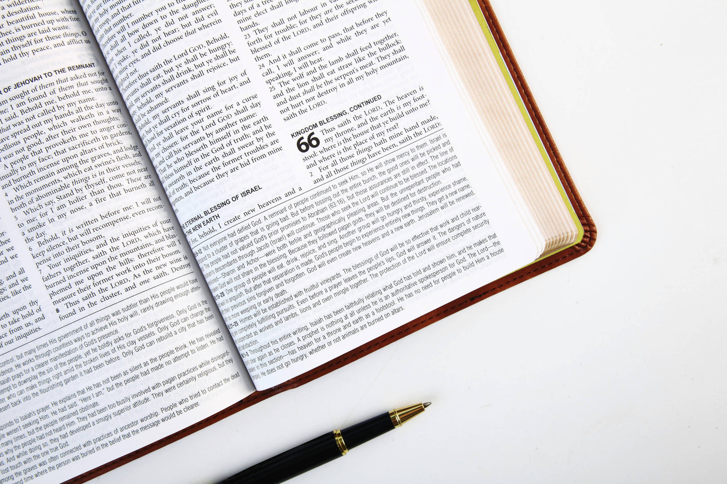 The KJV Study Bible [Chesnut Brown Fish]