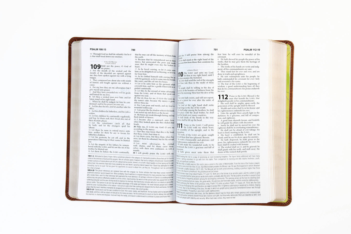 The KJV Study Bible [Chesnut Brown Fish]