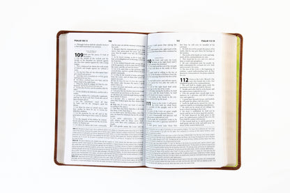 The KJV Study Bible [Chesnut Brown Fish]