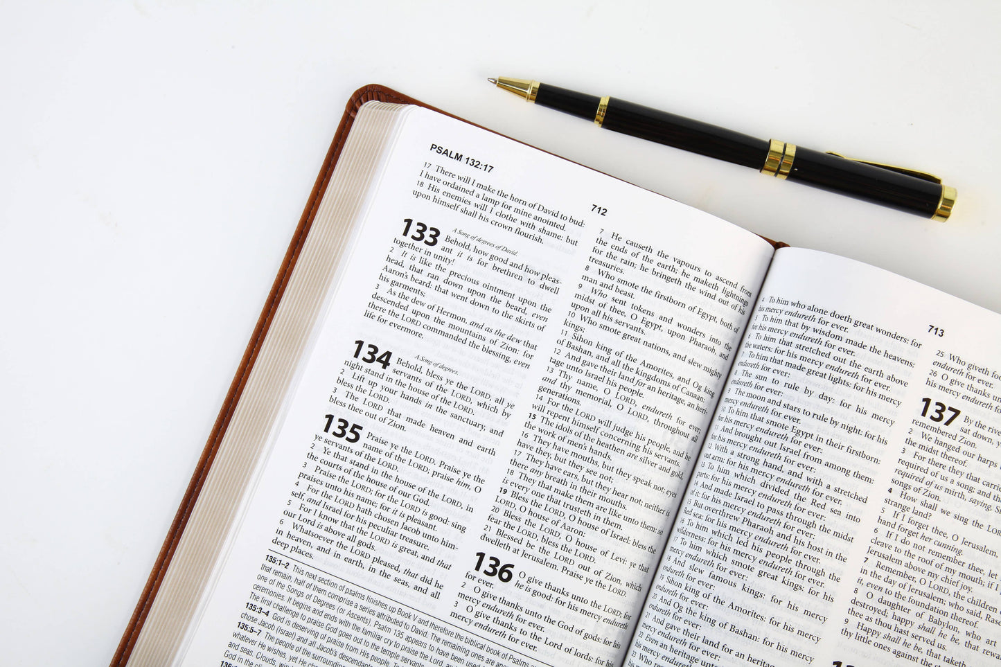 The KJV Study Bible [Chesnut Brown Fish]